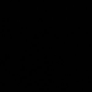 Meet your Posher, Jose